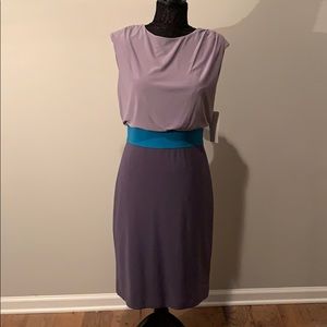 Adrianna Papell Dress
